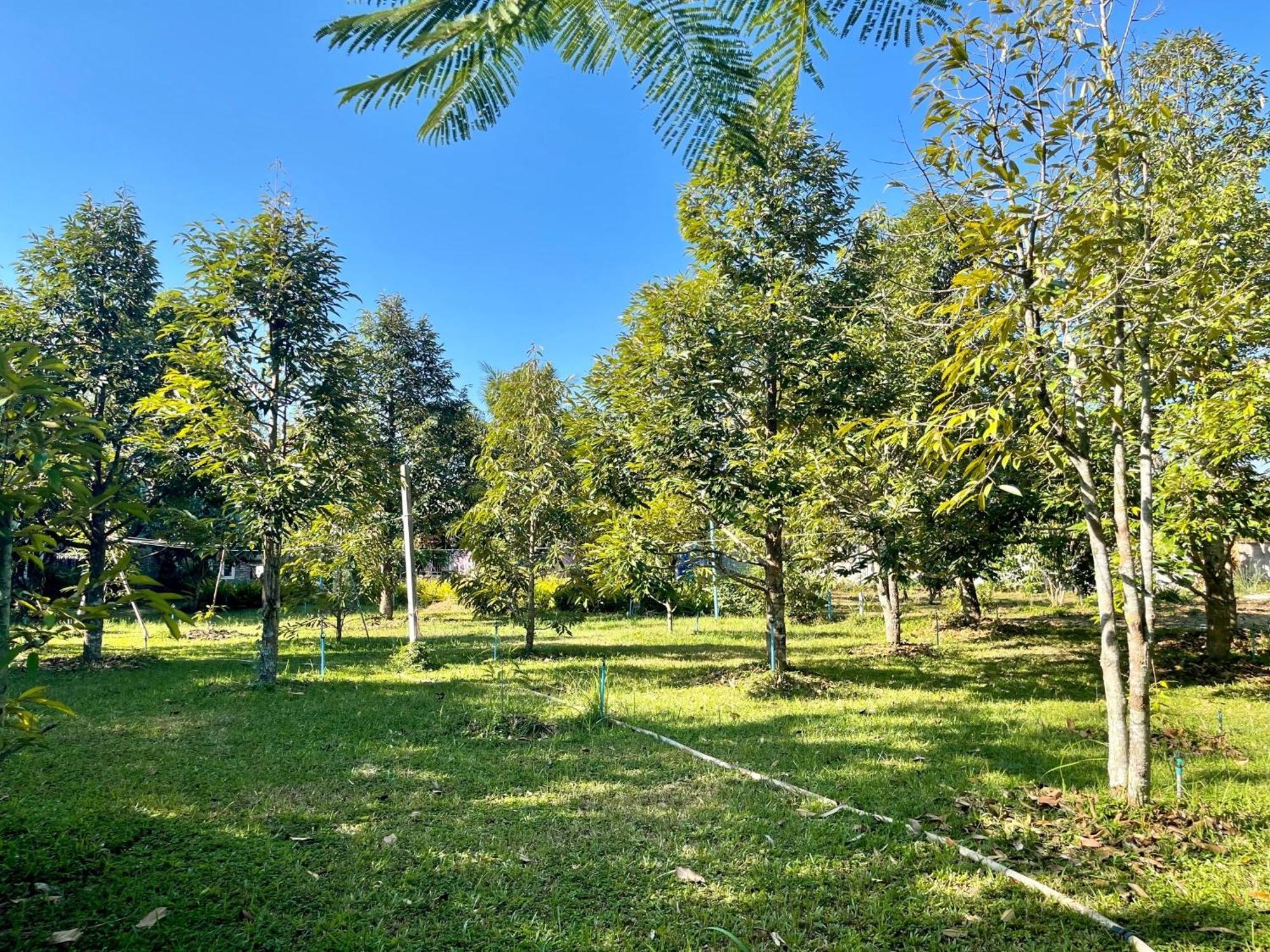 Panpim Resort Noen Hom Exteriör bild